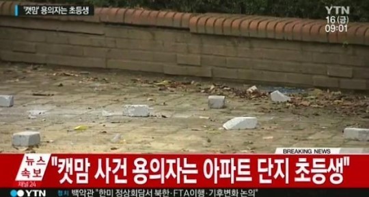 용인 캣맘 사건 경찰 발표 “용의자 초등학생 부모는 몰랐다”