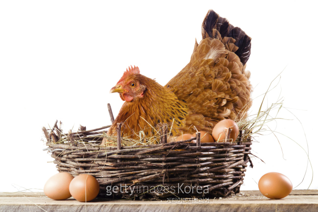 [사진=게티이미지뱅크]