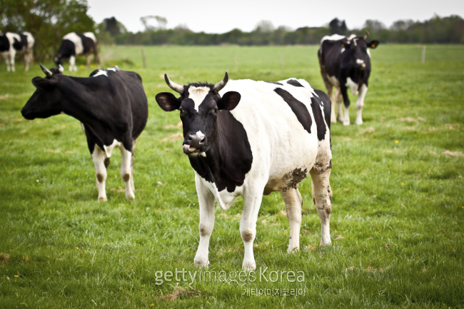 [사진=게티이미지뱅크]