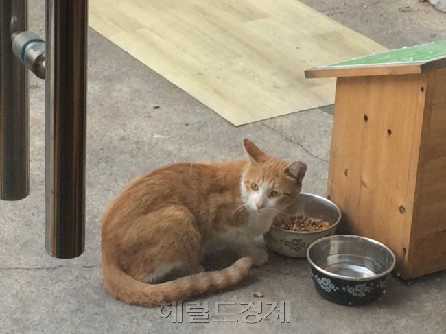 [사진=헤럴드경제 DB]