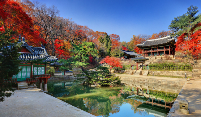 창덕궁 부용지 전경