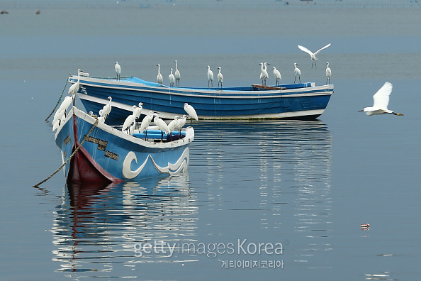 사진=게티이미지