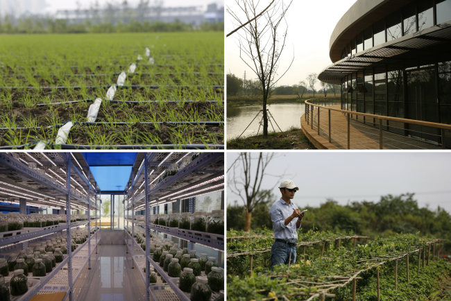 The Amway Botanical Research Center in Wuxi, China (Amway)