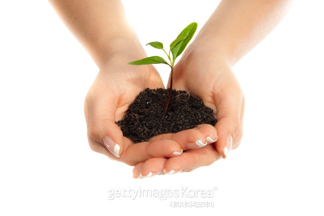 [사진=게티이미지]