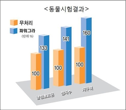 100% 숫총각 누에로 남성 호르몬 33%, 정자수 41%, 지구력 60% UP!