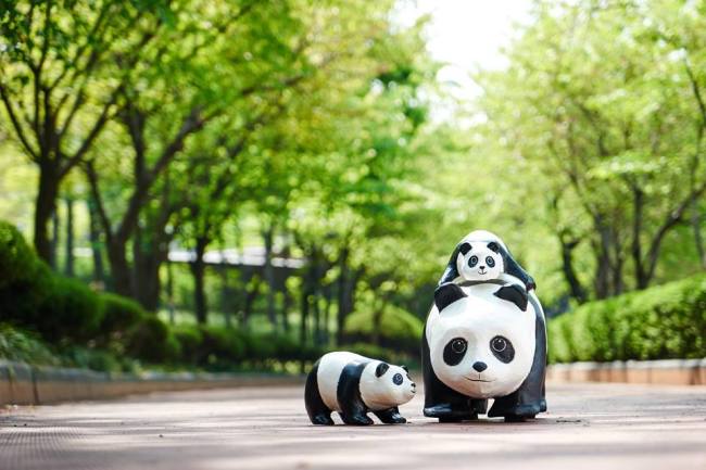 사진=WWF-KOREA 페이스북