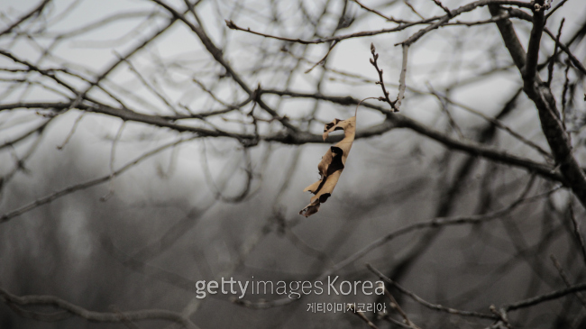 [사진=게티이미지뱅크]