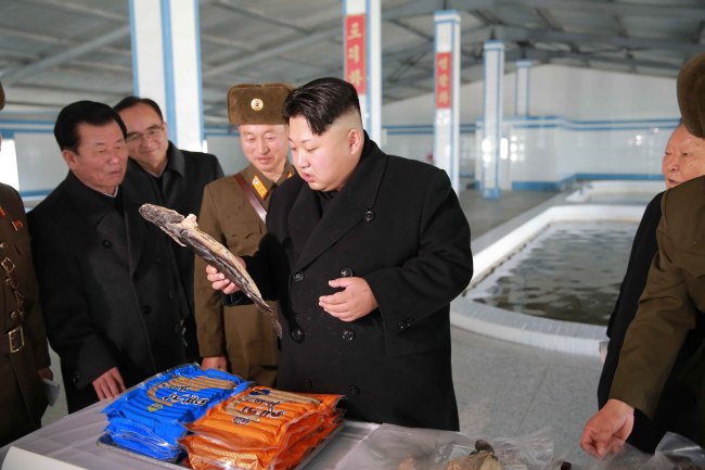North Korean leader Kim Jong-eun inspects a fish farm in Pyongyang last week. (Yonhap)
