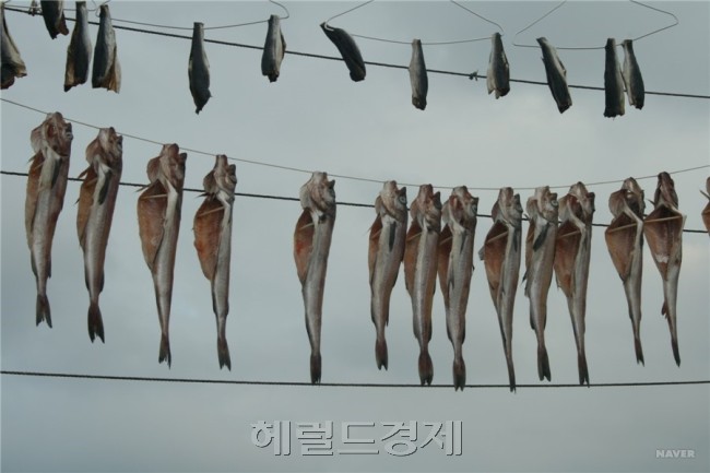 ［사진출처=헤럴드경제DB］