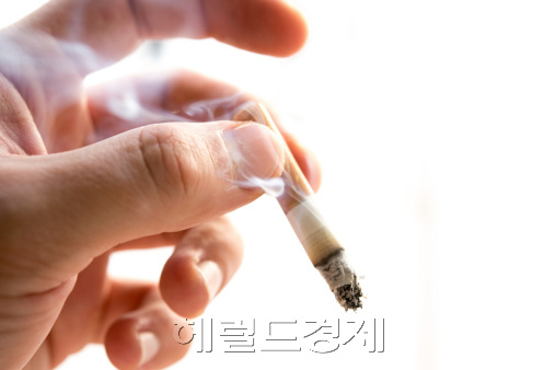 ［사진출처=헤럴드경제DB］