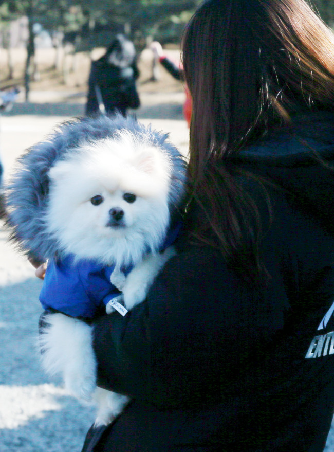 Yonhap
