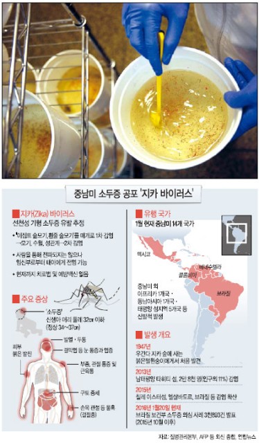 [지카바이러스 5대 궁금증] ① 감염자 150만명…소두증 공포확산 되는데 ‘백신’은 아직…