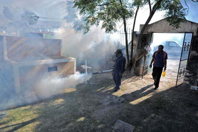 Honduran Health Ministry employees spray to eliminate breeding sites of the Aedes aegypti mosquito, which transmits diseases such as dengue, chikungunya and Zika, in a cemetery in Tegucigalpa on Thursday. Yonhap-AFP