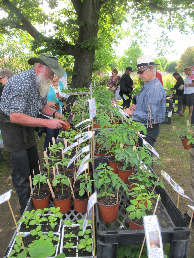 Locals visit Hawke’s Bay Farmers’ Market each weekend for local produce and artisanal food. (Liza Weisstuch/TNS)
