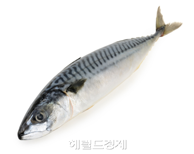 ［사진출처=헤럴드경제DB］