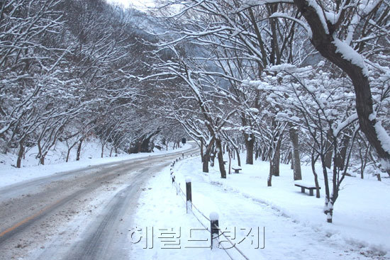 내장산 국립공원.[사진=헤럴드경제DB]