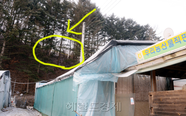 경기도 광주시 야산에서 친모 박모 씨로부터 맞아 숨진 딸로 보이는 사체가 발견됐다. 경찰 관계자는 “15일 5시30분 박 씨가 자신의 딸을 암매장했다고 진술한 박 씨의 큰 딸 김모(사망 당시 7세) 양의 백골 상태인 시신을 확인했다”고 밝혔다. 16일 오전 친딸 살해후 암매장한 장소 모습. 박현구 기자/phko@heraldcorp.com