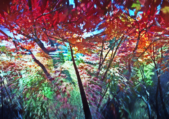 “Hexapoda II” by Zu Do-yang  (Savina Museum of Contemporary Art)