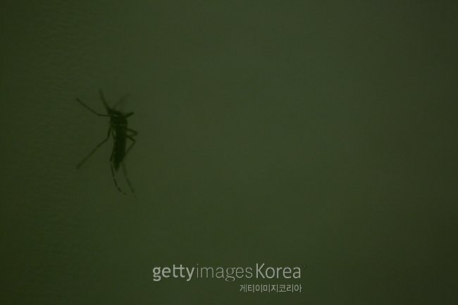[사진=게티이미지]
