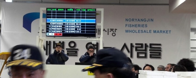 16일 오전 노량진 수산시장 현대화 건물에서 첫 경매가 실시되고 있다. 배두헌ㆍ이은지 기자/badhoney@heraldcorp.com
16일 오전 노량진 수산시장 현대화 건물에서 첫 경매가 실시되고 있다. 배두헌ㆍ이은지 기자/badhoney@heraldcorp.com