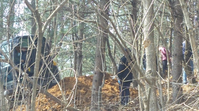 　21일 충북 진천군 백곡면 갈월리 야산에서 친모의 ‘물고문’으로 숨진 뒤 암매장된 안모(사망 당시 4세)양의 시신을 찾기 위한 수색 작업이 진행되고 있다. 신동윤ㆍ김지헌 기자/realbighead@heraldcorp.com
　21일 충북 진천군 백곡면 갈월리 야산에서 친모의 ‘물고문’으로 숨진 뒤 암매장된 안모(사망 당시 4세)양의 시신을 찾기 위한 수색 작업이 진행되고 있다. 신동윤ㆍ김지헌 기자/realbighead@heraldcorp.com