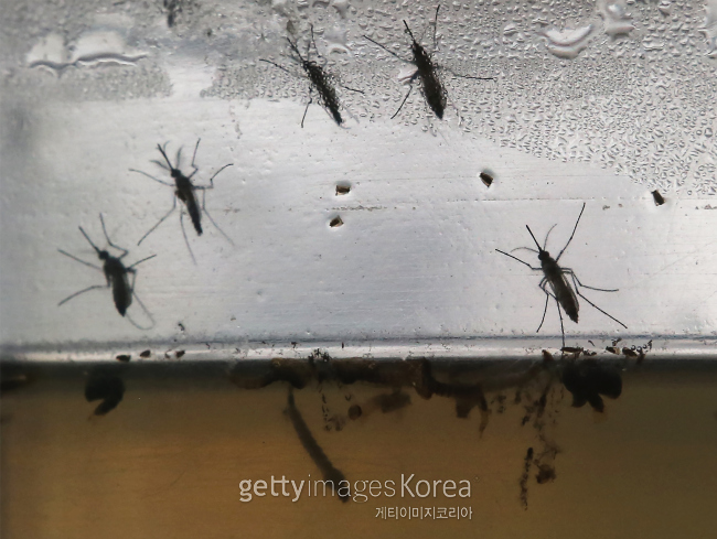 [사진=게티이미지]