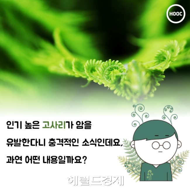 ［사진=헤럴드경제DB］