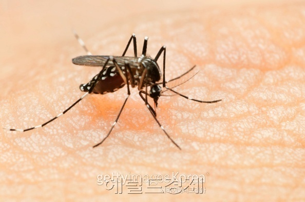 ［사진=헤럴드경제DB］