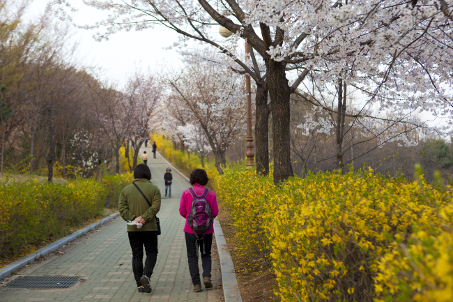 7호선 고속버스터미널역 주변