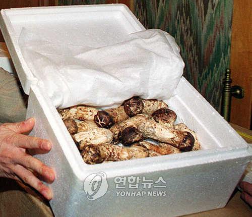 (연합)