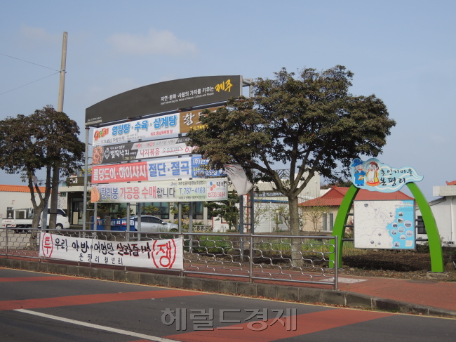 제주 제2공항 예정부지에서 가까운 성산읍 온평리에는 공항 건설을 반대하는 내용의 현수막이 이곳저곳 걸려있다.[사진=정찬수 기자/andy@heraldcorp.com]