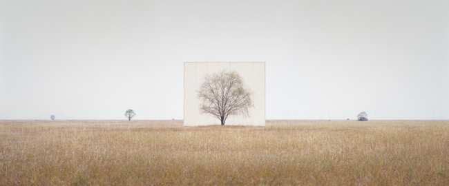 “Tree...#3” by Lee Myung-ho (Courtesy of the artist)
