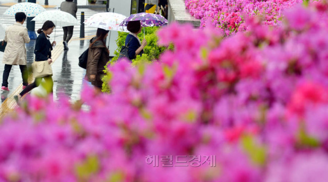 사진=김명섭 기자 msiron@heraldcorp.com