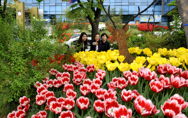 <YONHAP PHOTO-2390> '튤립이 한가득' (서울=연합뉴스) 27일 서울 서대문구청에서 직원들이 휴식시간을 이용해 구청 광장에 활짝 핀 튤립을 감상하고 있다. 2016.4.27 [서대문구청 제공] photo@yna.co.kr/2016-04-27 16:26:59/ <저작권자 ⓒ 1980-2016 ㈜연합뉴스. 무단 전재 재배포 금지.>
<YONHAP PHOTO-2390> '튤립이 한가득' (서울=연합뉴스) 27일 서울 서대문구청에서 직원들이 휴식시간을 이용해 구청 광장에 활짝 핀 튤립을 감상하고 있다. 2016.4.27 [서대문구청 제공] photo@yna.co.kr/2016-04-27 16:26:59/ <저작권자 ⓒ 1980-2016 ㈜연합뉴스. 무단 전재 재배포 금지.>