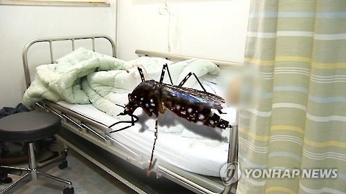 (Yonhap)