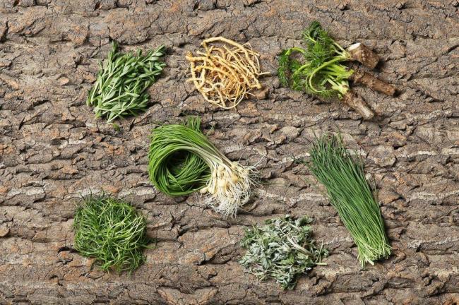 Early spring vegetables, clockwise from bottom left:  saebal, dallae, donnamul, sseumbawgi, dureup, yeongyang buchu, and ssuk   (Photograph by Lee Kyeng-sub)