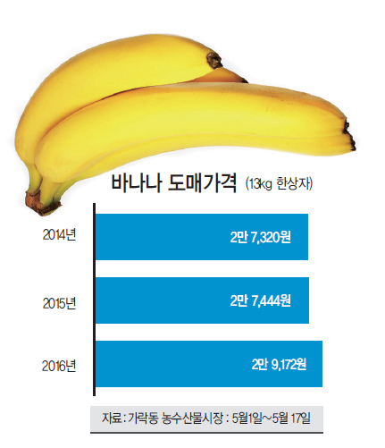 ‘직장인 아침식사’ 바나나가 위험하다