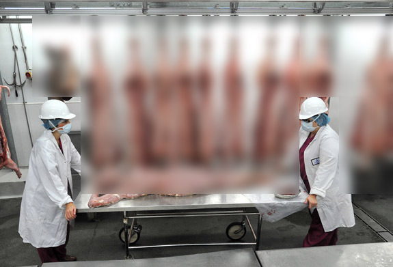 중국 업체가 인육을 가공해 통조림으로 수출하고 있다는 보도에 사용된 이미지. 해당 이미지는 2012년 게임 홍보에 쓰였던 것으로 밝혀졌다. (유튜브)