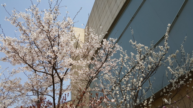 Hwajeong Museum (Hwajeong Museum)
