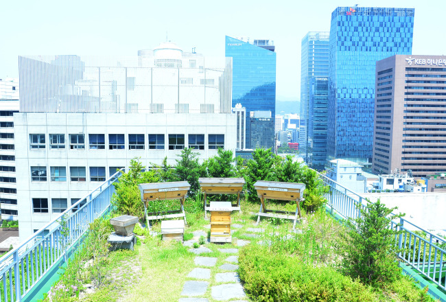 Rooftop apiary at UNESCO House in Myeong-dong, which is run by social enterprise Urban Bees Seoul. (Yoon Byung-chan/The Korea Herald)