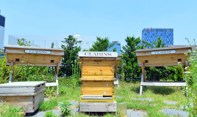 Rooftop apiary at UNESCO House in Myeong-dong, which is run by social enterprise Urban Bees Seoul. (Yoon Byung-chan/The Korea Herald)