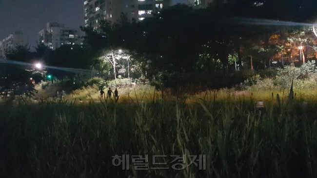 하천변 자전거도로와 산책로에서는 자정에 가까운 시간에도 많은 주민들이 나와 운동을 즐기는 모습을 어렵지 않게 찾아볼 수 있다. 하지만 그에 부합하는 방범 시스템은 제대로 갖춰지지 않다보니 시민들은 범죄 위험에 고스란히 노출되고 있다. 신동윤 기자/realbighead@heraldcorp.com