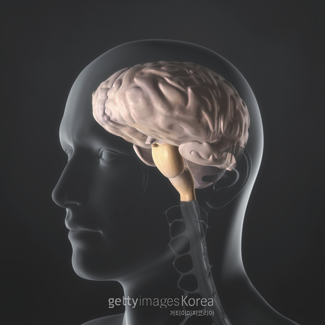 [사진=게티이미지뱅크]