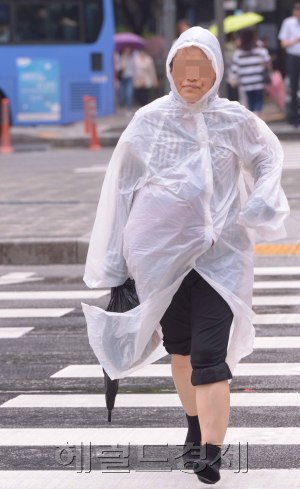장마전선의 영향으로 전국적으로 비가 오는 가운데 15일 광화문은 오락가락 하는 비를 맞으며 시민들이 출근을 하고 있다. 기상청은 19일 부터 제주 남부지방에 전선이 상륙하고 중부지방은 21일부터 장마가 시작되겠다고 예보했다.
정희조 기자/checho@heraldcorp.com
