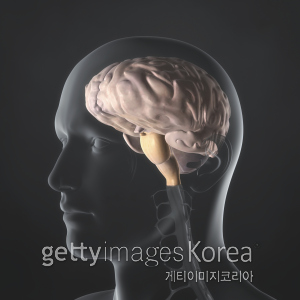 [사진=게티이미지뱅크]