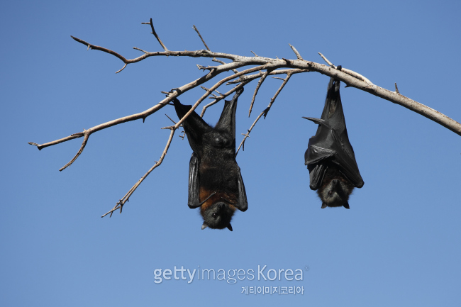 [사진=게티이미지뱅크]