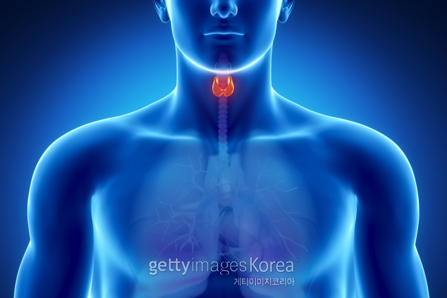[사진=게티이미지뱅크]
[사진=게티이미지뱅크]