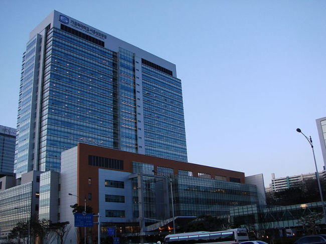 Seoul St. Mary's Hospital/ The Investor