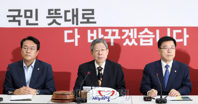 김희옥 새누리당 혁신비상대책위원장(가운데)이 20일 국회에서 회의를 주재하고 있다. 박해묵 기자/mook@heraldcorp.com