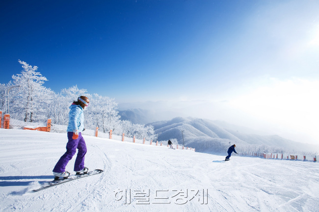 [사진 = 헤럴드경제DB]